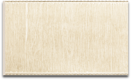 Панель Decor dizayn C25-6